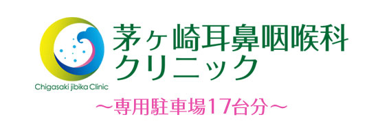 アレルギー 花粉症 茅ヶ崎耳鼻咽喉科クリニック 茅ヶ崎市矢畑の耳鼻咽喉科 小児耳鼻咽喉科 アレルギー科